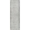 Livabliss Amelie AML-2385 Machine Washable Area Rug AML2385-27710